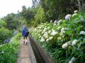 Madeira0880.JPG
